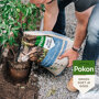 Pokon aanplantgrond voor planten, hagen & bomen haag aanplanten
